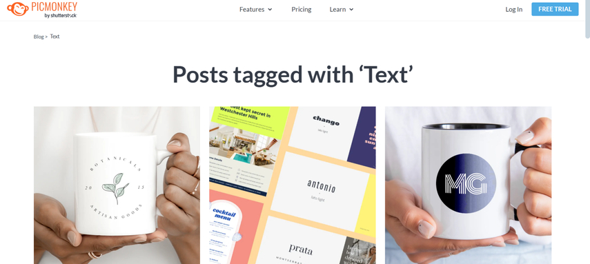 text curve generator picmonkey