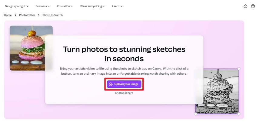canva photo sketch tool add image