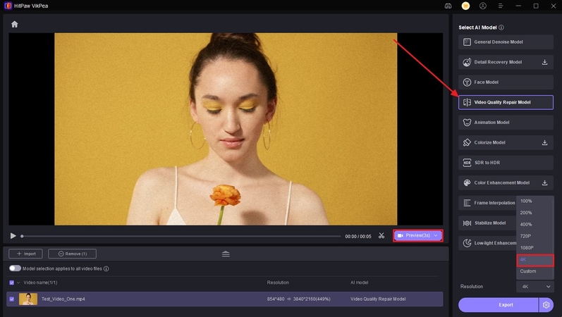 apply ai model and set resolution