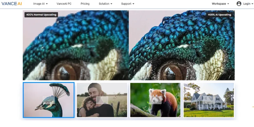 vanceai processing multiple images