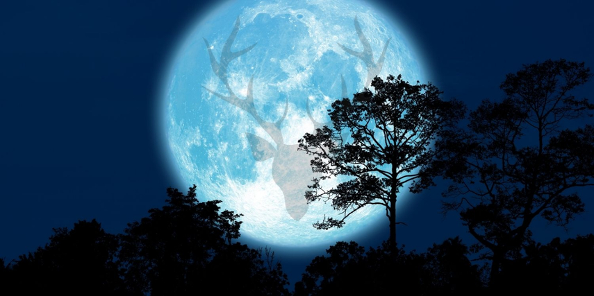 what is the buck moon