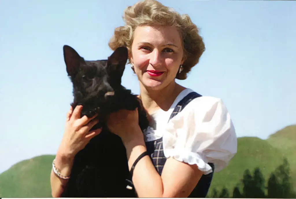 ai colorize black and white photo