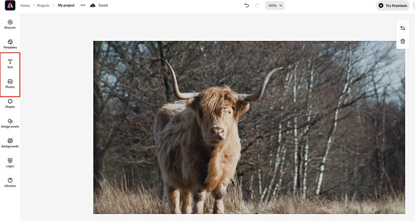 ajouter un texte ou une icône