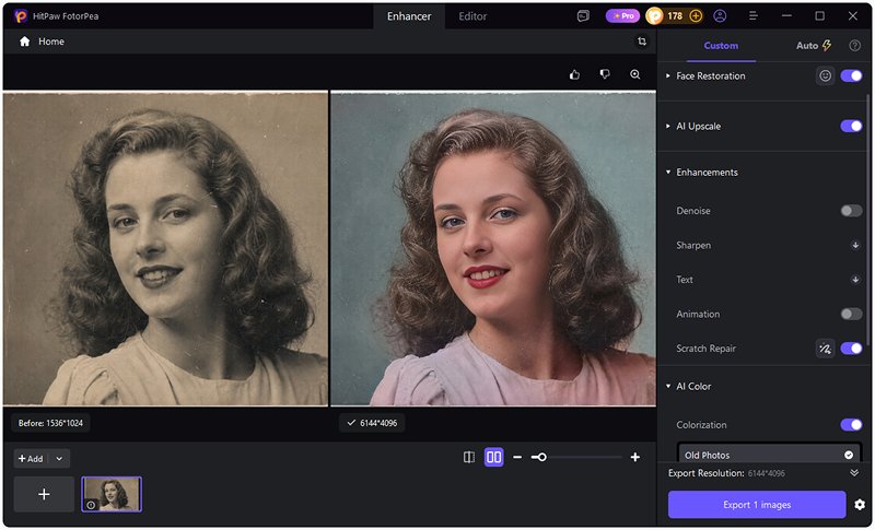 select denoise and colorize models