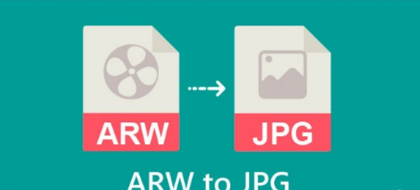 3 Ways to Convert ARW to JPG in 2024