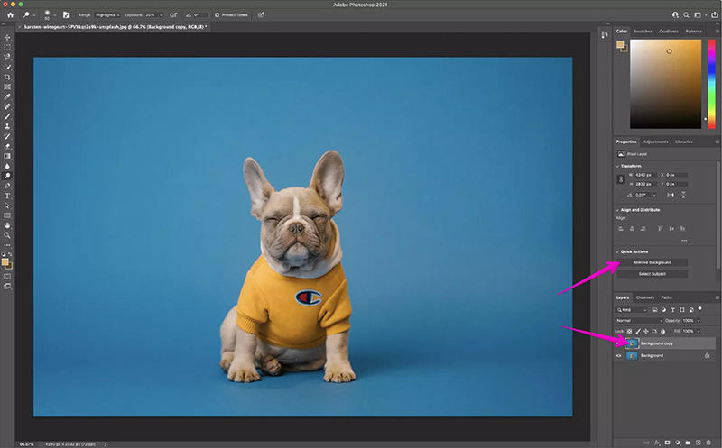 [Must Know] 6 Easy Tools to Cut Background from Picture in 2022