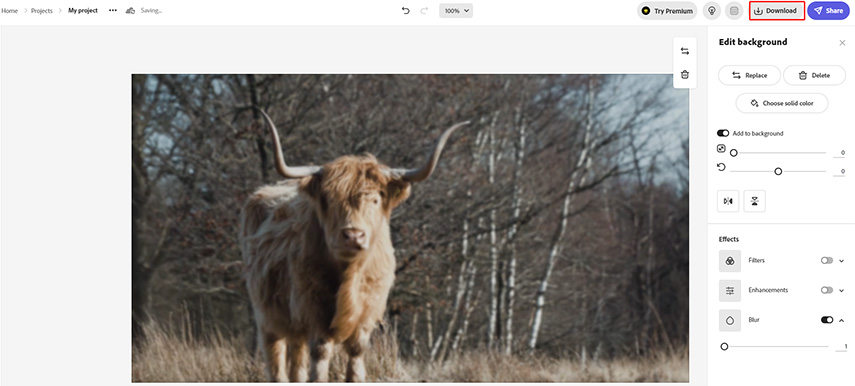 telechargement images