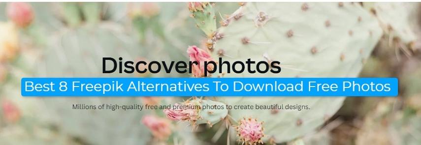 Las 8 Mejores Alternativas a Freepik para Descargar Fotos Gratis