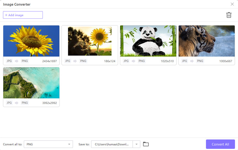Step 3 to HitPaw Convert JPG in Batch
