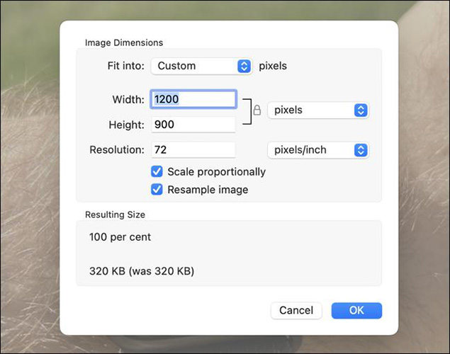resize image in Preview app on Mac