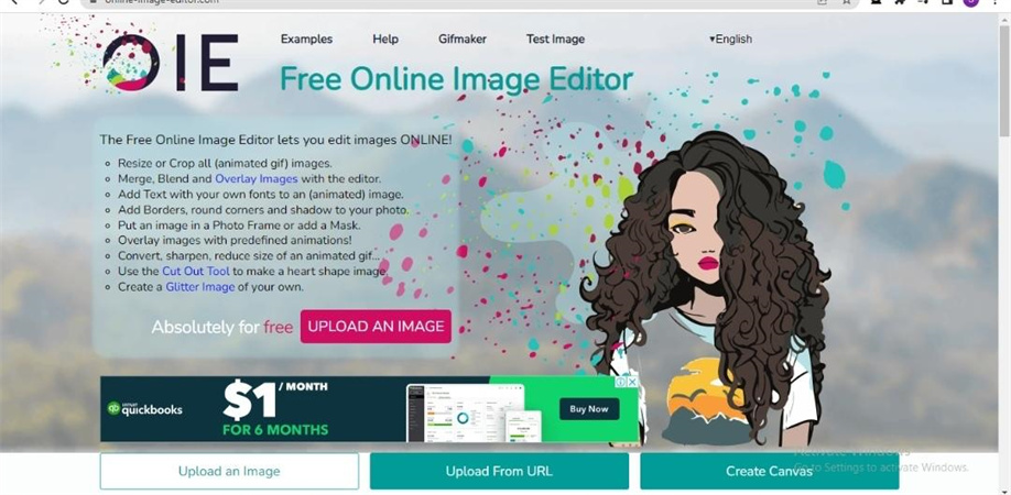 Img2Go's - Free Online Photo Editor