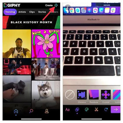 Top 3 GIF Apps for iPhone