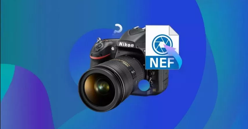 Les meilleures solutions pour convertir NEF en JPG sous Windows, Mac et en ligne