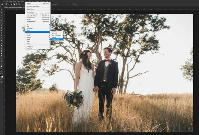 How to Reduce Noise in Photoshop in 2024