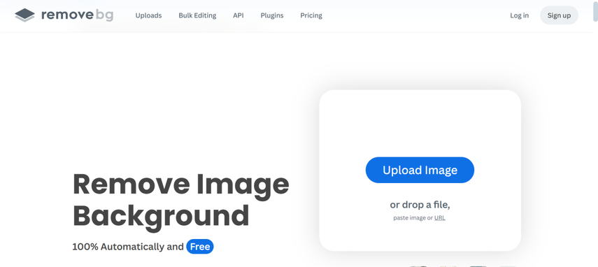 picwish alternatives remove bg