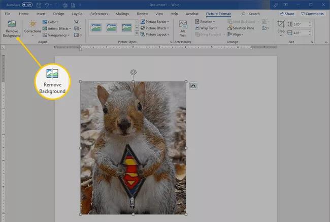 2022 Updated] How to Remove Background from Picture in Word
