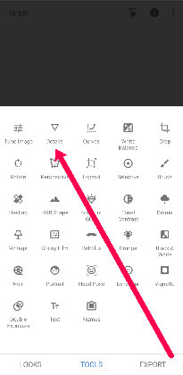 seleccione Detalles en snapseed