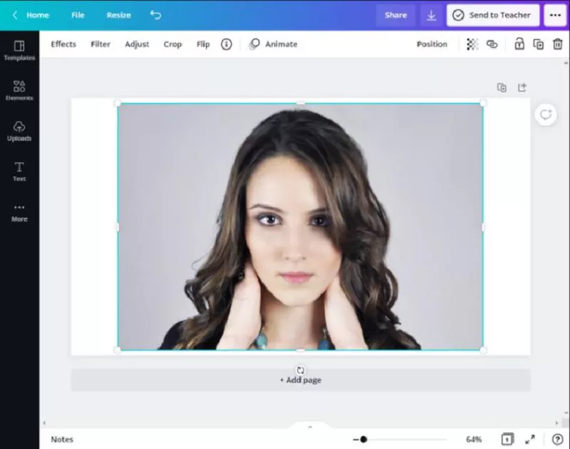 How to Remove Background with Canva for Free