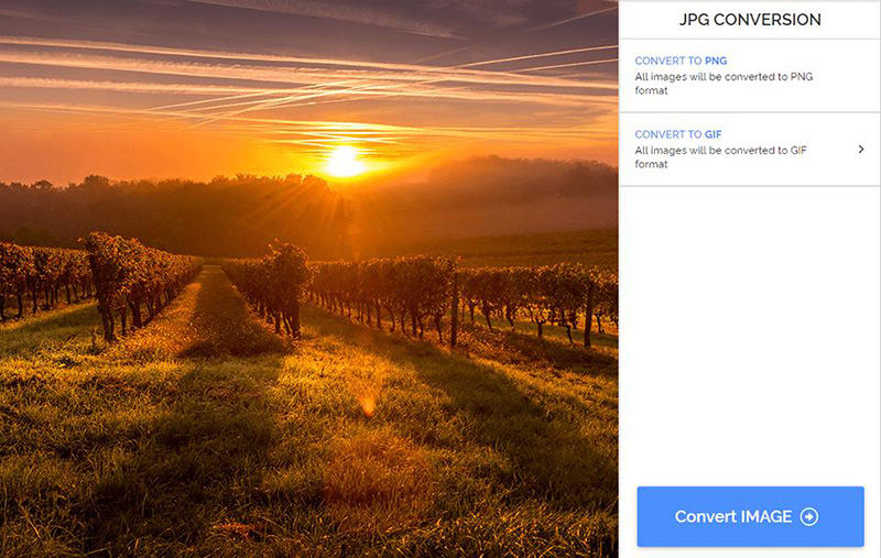 online convert webp to jpg