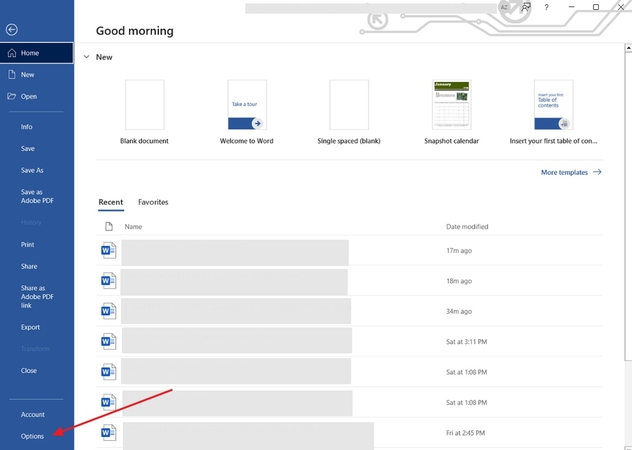create fillable form word options section