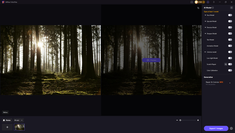 enchanted forest photography
