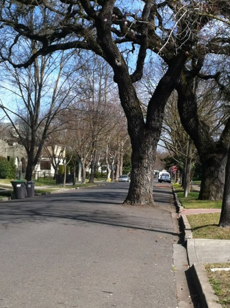 juxtaposition photography