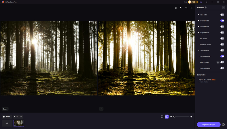 landscape forest photography