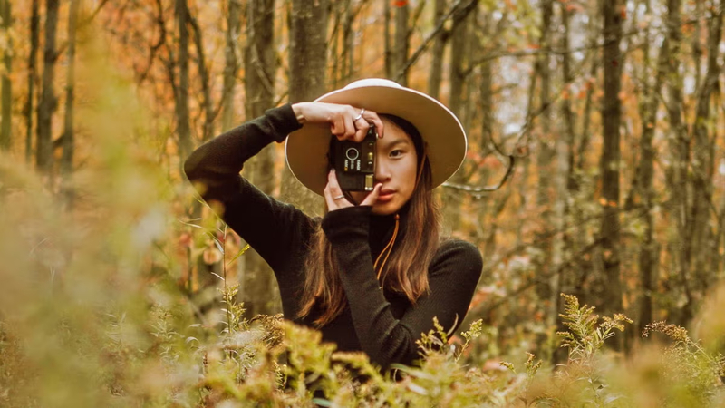 landscape forest photography