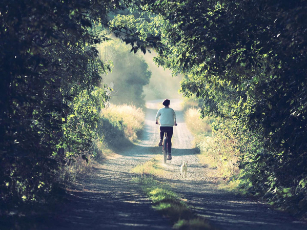 what is framing in photography