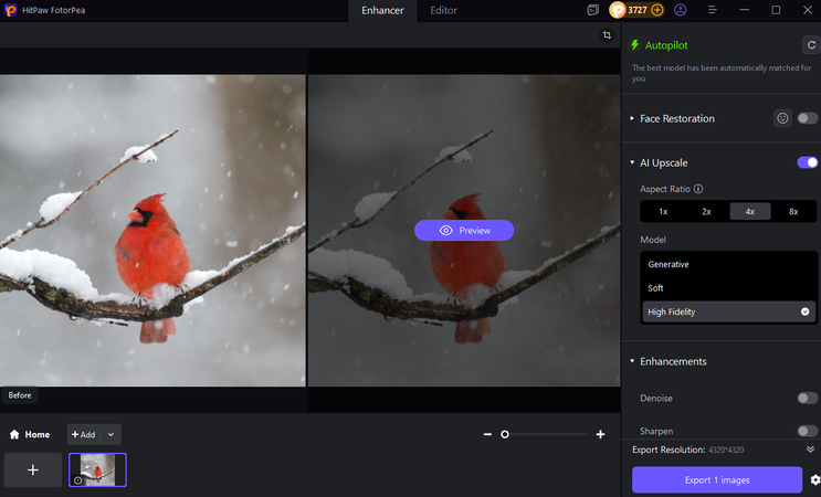 enhance-winter-photo