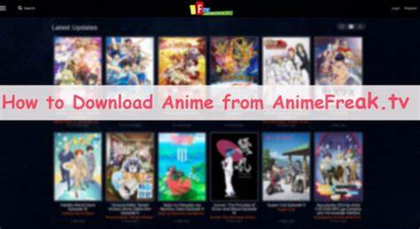 The Ultimate Guide of AnimeFreak Downloader