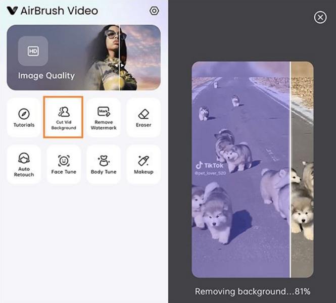 airbrush remove video background android