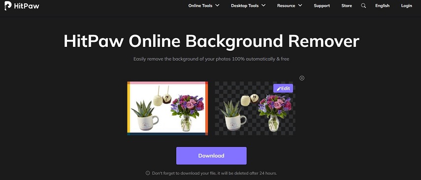 remove background from image successfully