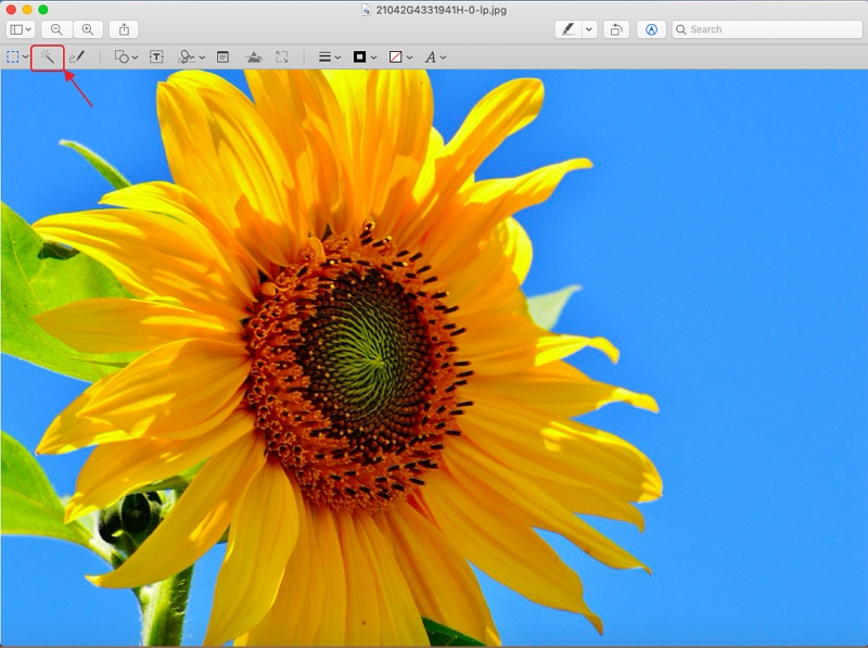 The Easiest Way to Remove a Picture's Background on Mac