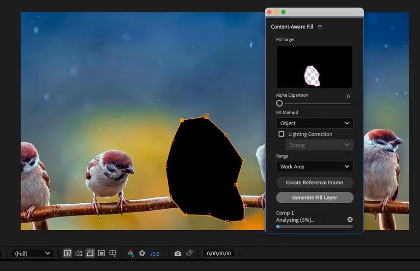Adobe After Effects Erase Unwanted Objects from Video