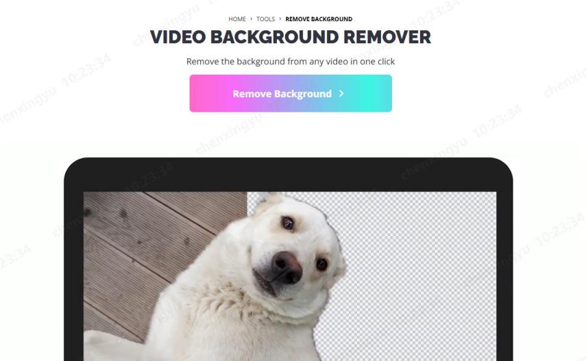 remove full video background online free with kapwing