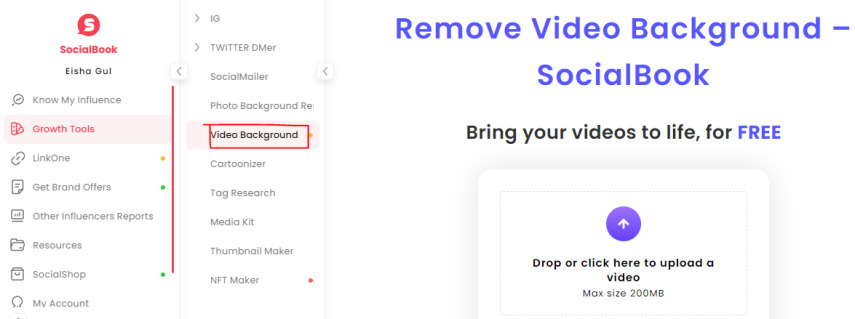 open socialbook video background remover