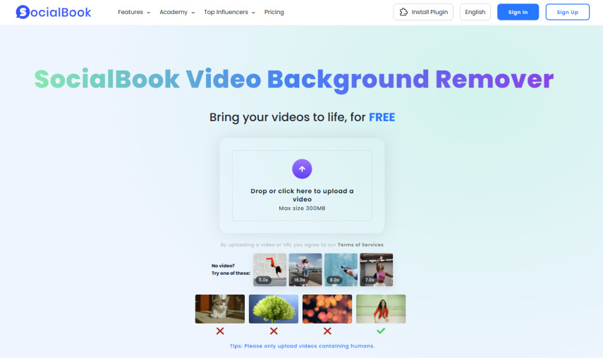 socialbook video background remover