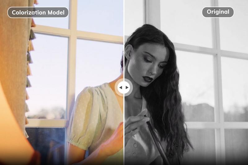 4ddig colorization model