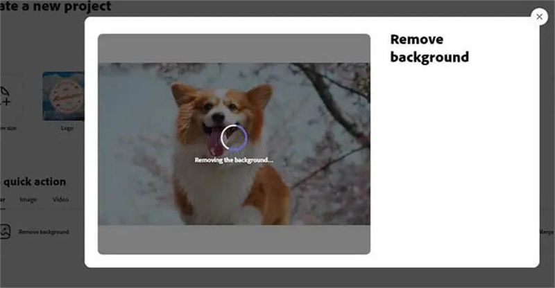 online background remover