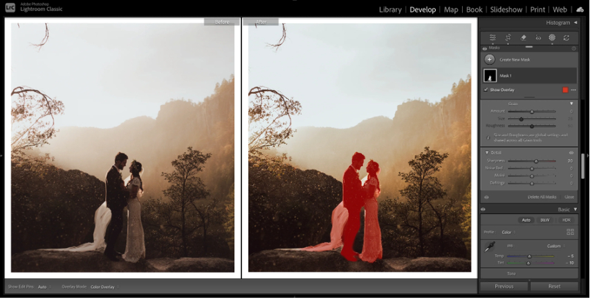 Adobe Lightroom desktop workstation showing color editing panel and catalog layout