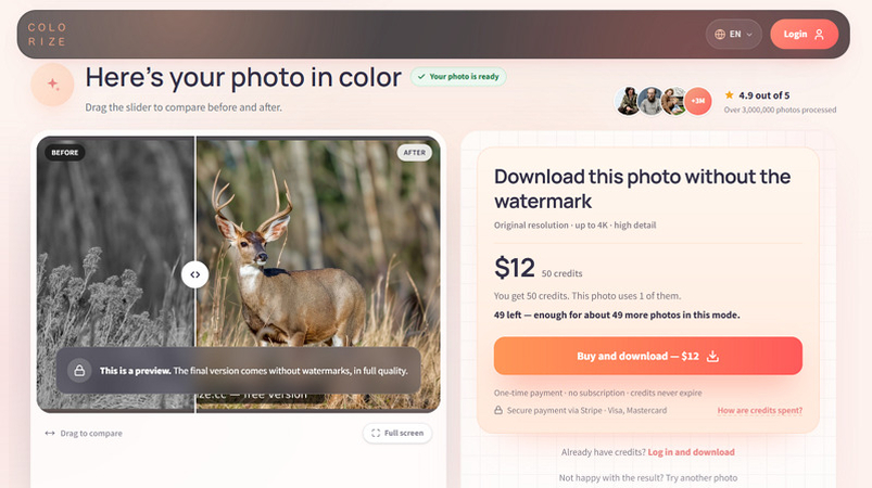 Download Output from Colorize.cc
