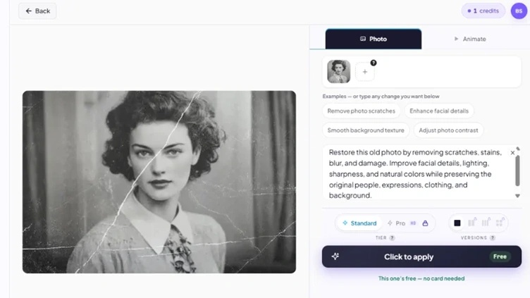 entering a restoration prompt in editthispic