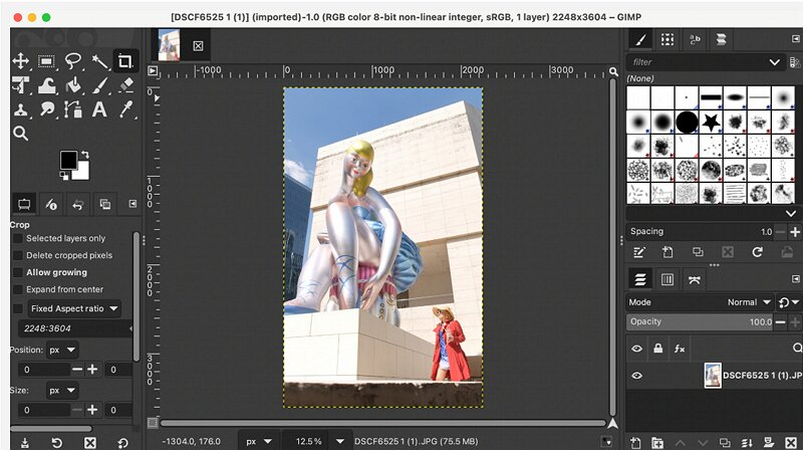 GIMP ADVA Soft Alternative