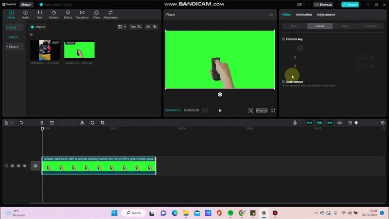 green screen video editor capcut