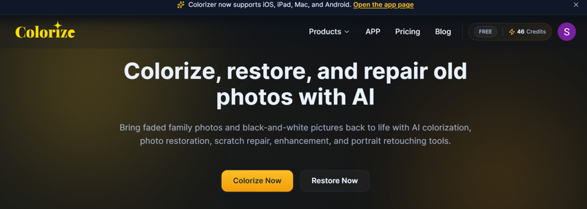 ImageColorizer interface