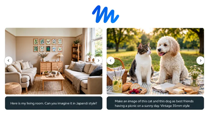 muse image examples featuring interiors and pets