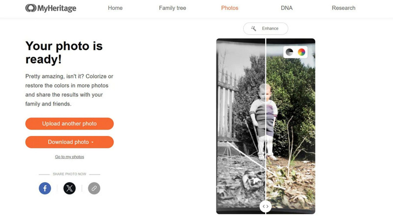 MyHeritage Colorize.cc Alternative