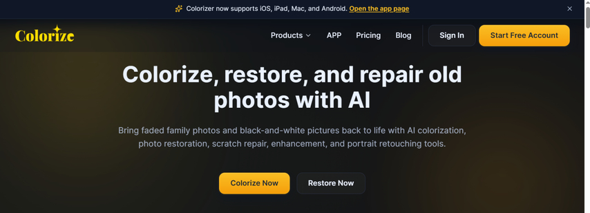 Visit ImageColorizer