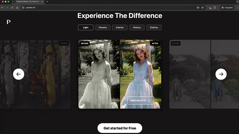 Palette.fm Colorize.cc Alternative